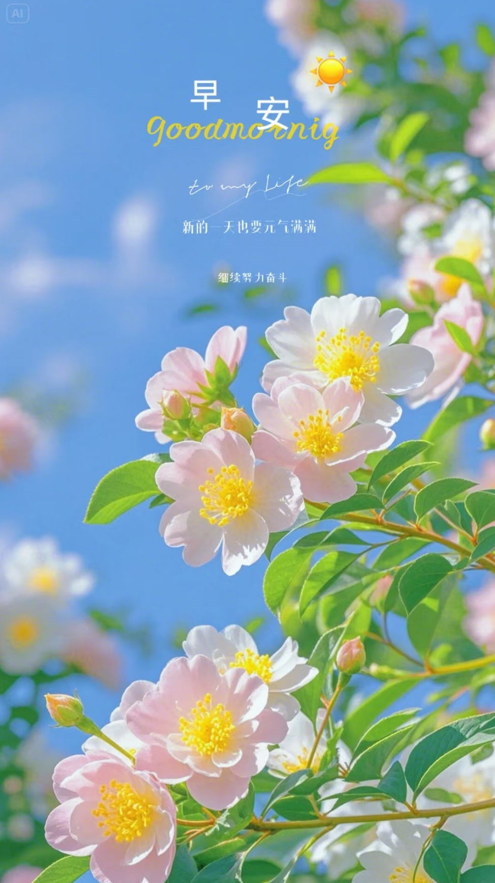 早安[超话]  早安～周一愉快'͜'日子滚烫，万物可爱，今天连空气都裹着蜜糖的甜