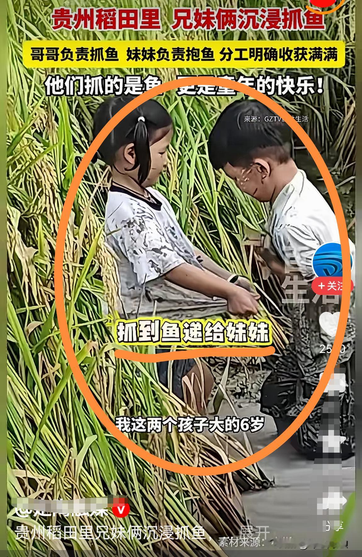 这样的童年，注定是快乐的！
       唱起《抓泥鳅》：池塘的水满了，雨也停了