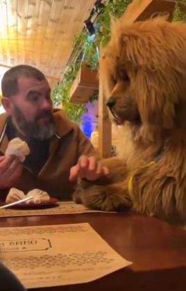 【一位居住在利沃夫的英国志愿者在发布了一段当地餐厅的视频后迅速走红网络。 理查德