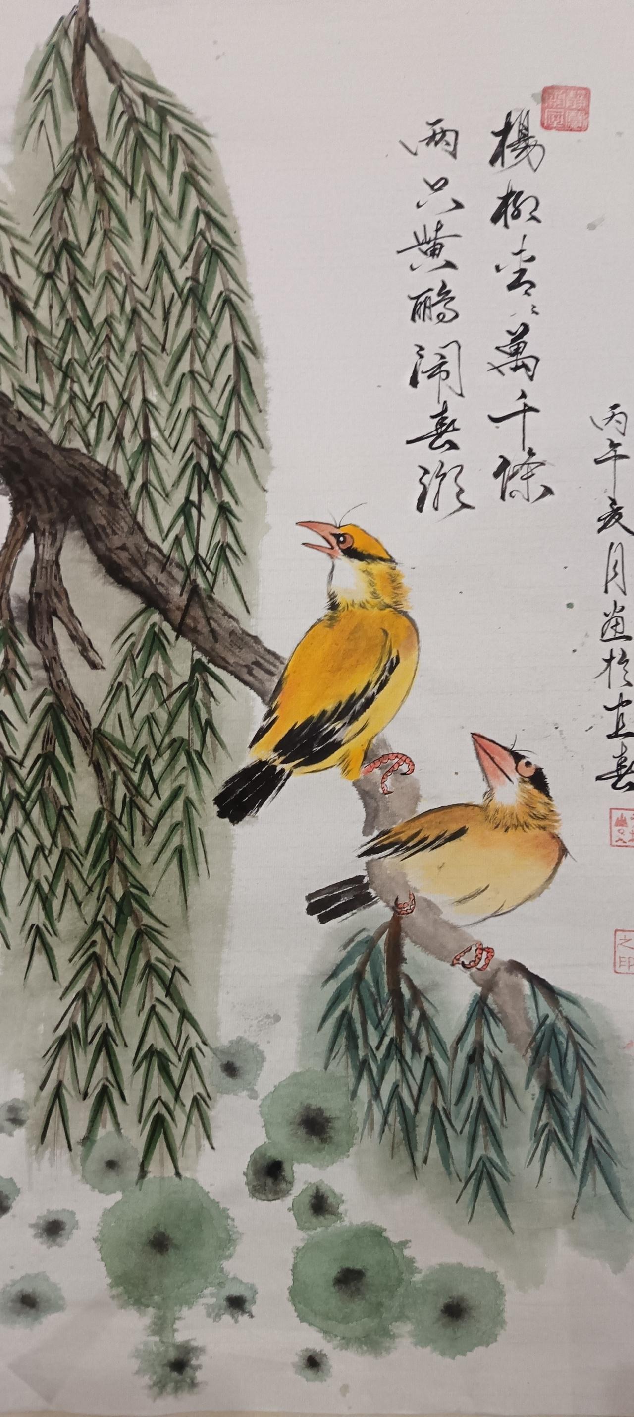 楊柳青青萬千条  两只黄鹂閙春潮
