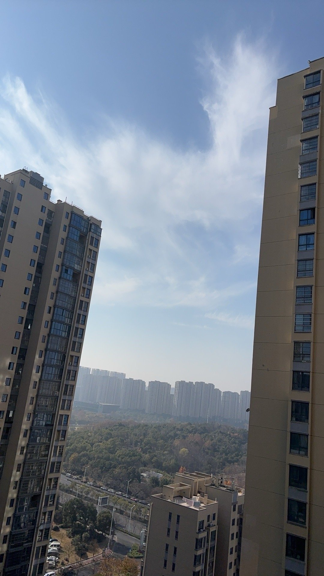 冬日里晒晒太阳🌞整个人都是暖暖的 