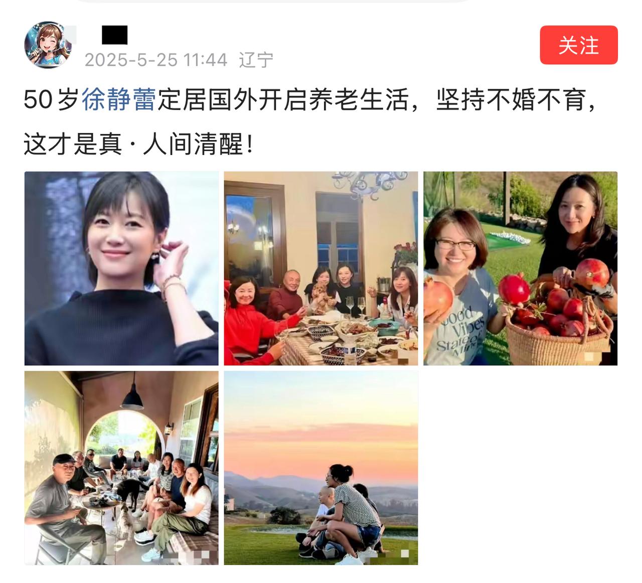 这位网友说：“50岁徐静蕾定居国外开启养老生活，坚持不婚不育，这才是人间清醒！”
