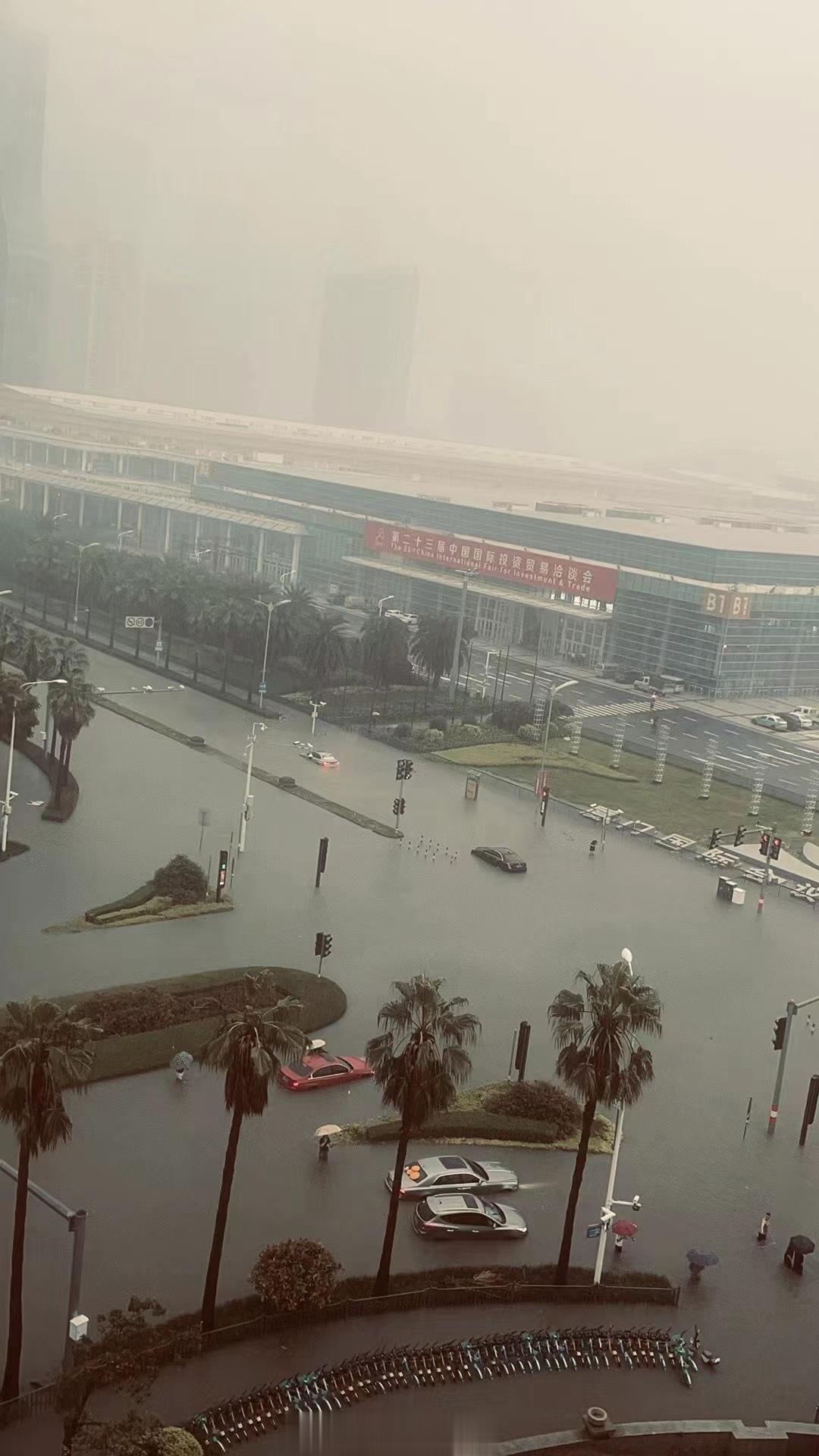 厦门的雨有多大，你看啥车淹了#台风苏拉# ​​​