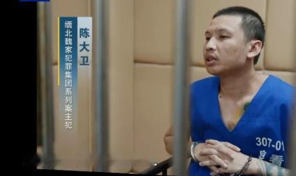 央视在播的《缅北电诈覆灭纪实》，很多观众看完之后半天缓不过神来，纪录片里披露的缅
