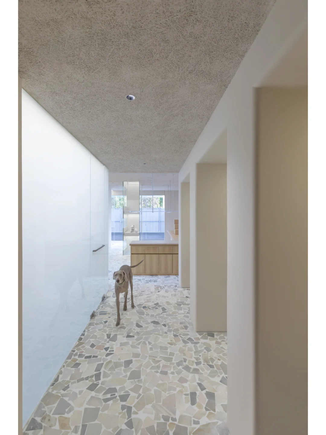 FRAME年度入围 | Paw ⬜ 治愈系宠物空间