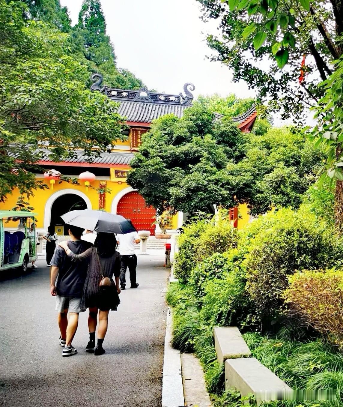 周末徒步杭州天竺路，‌天竺路位于西湖景区灵隐寺南侧的那条禅意古道‌，沿途串联着下