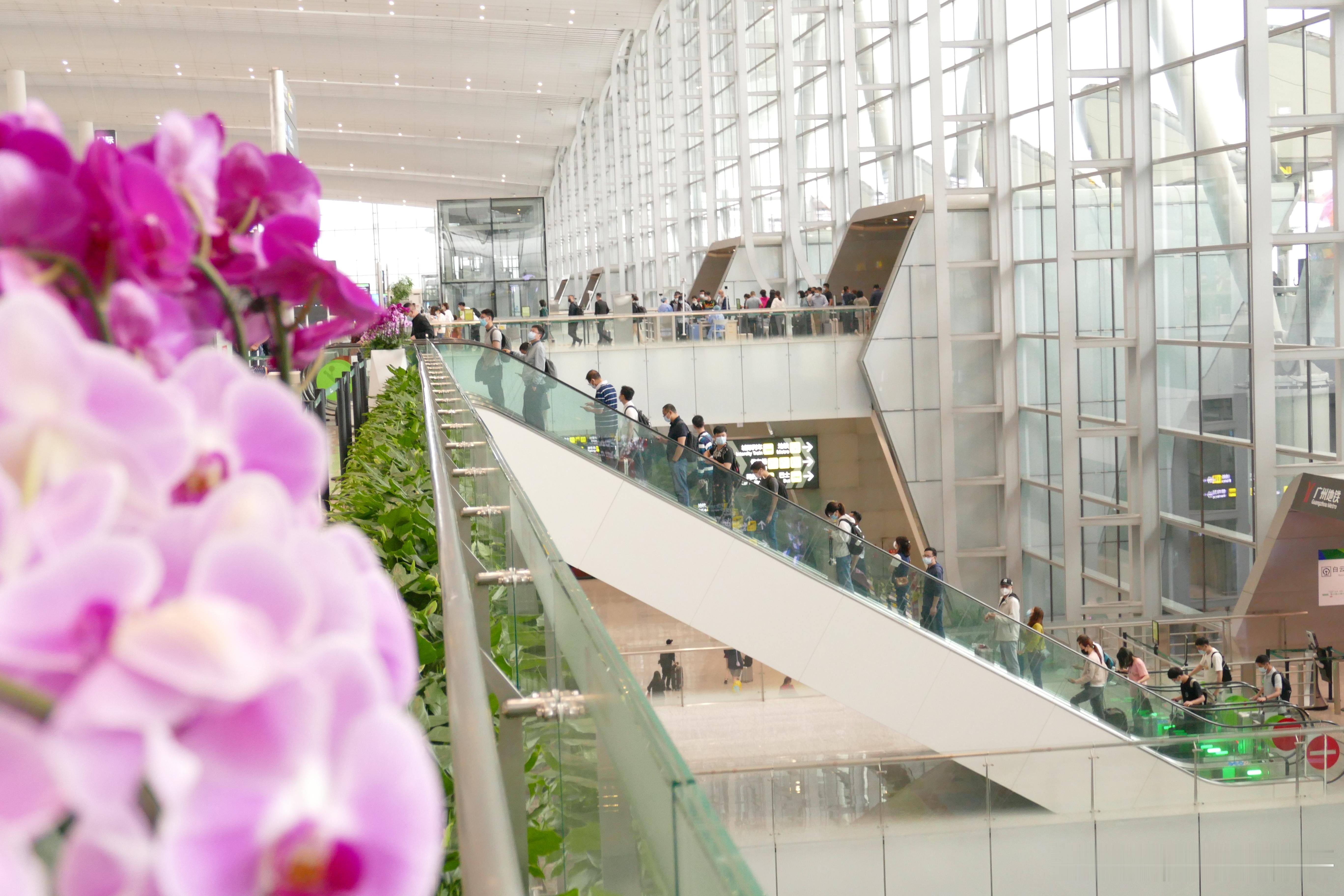 第135届广交会已经开始在广州举办，至5月5日结束。在广东省行政区域内实施外国人