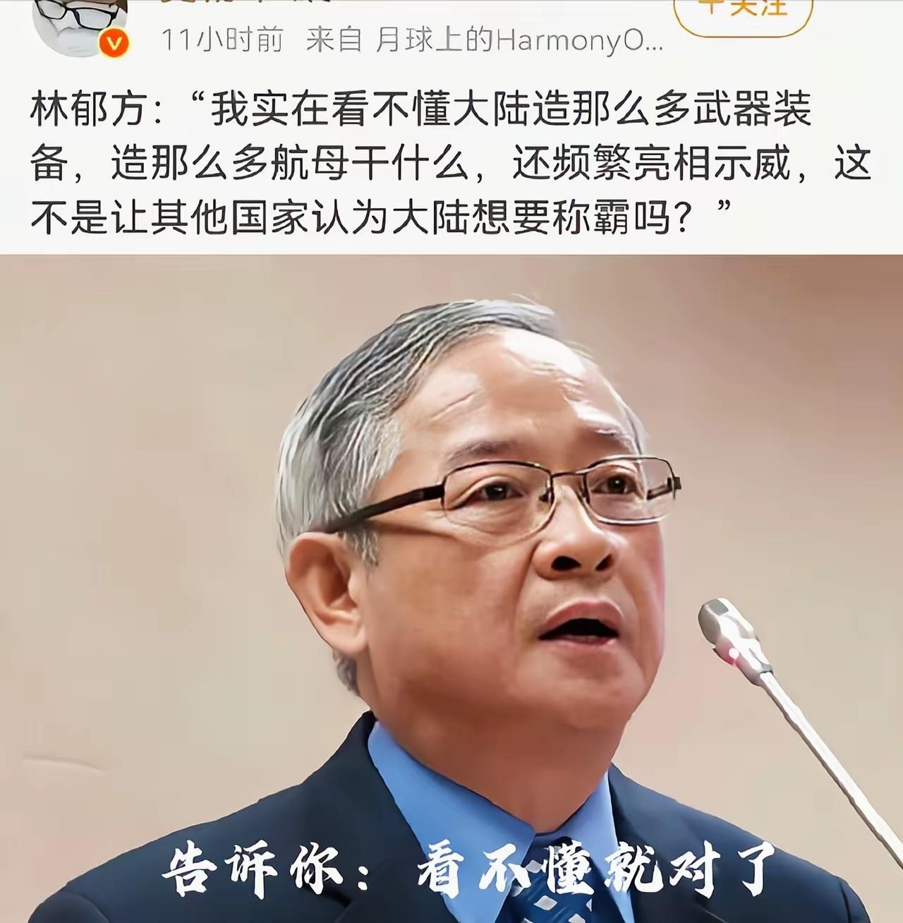 台林郁方：“我实在看不懂大陆造那么多武器装备，造那么多航母干什么，还频繁亮相示威