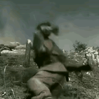 当年在朝鲜战场，我志愿军战士把手雷运用到了极致。敌人的碉堡封闭严密，很难炸到里面