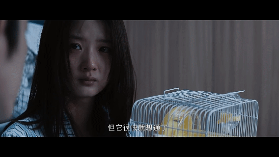 男医生掰断仓鼠腿给少女治病这也配叫医生？为了给少女治疗，用这么残忍的方式对待小生