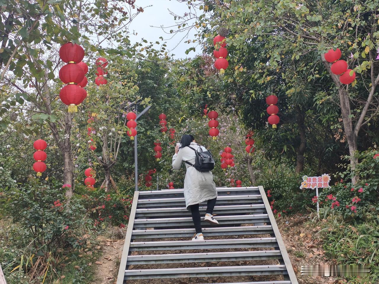 集卡领红包2月12日，腊月二十五，住寮步镇的我到东坑马腰岭公园玩，370路公交在