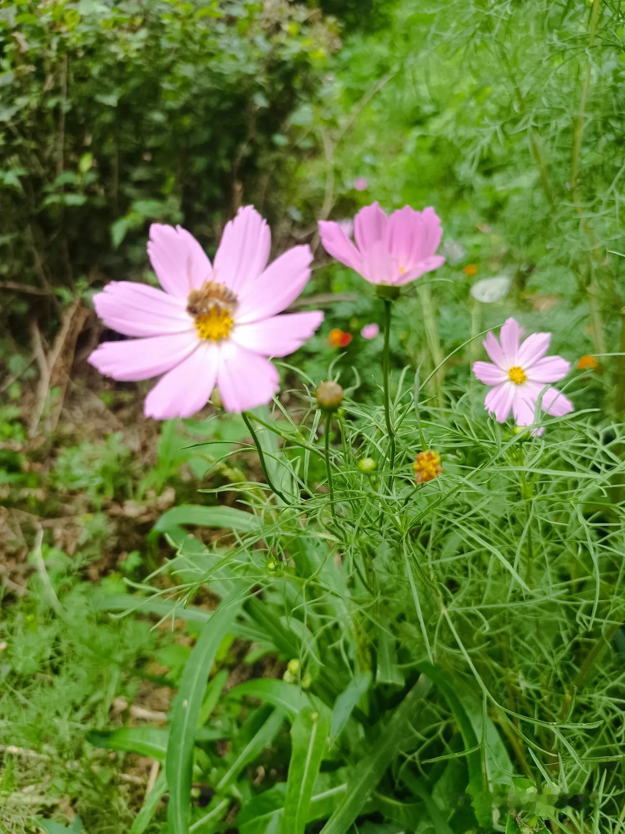 晒图笔记大赛