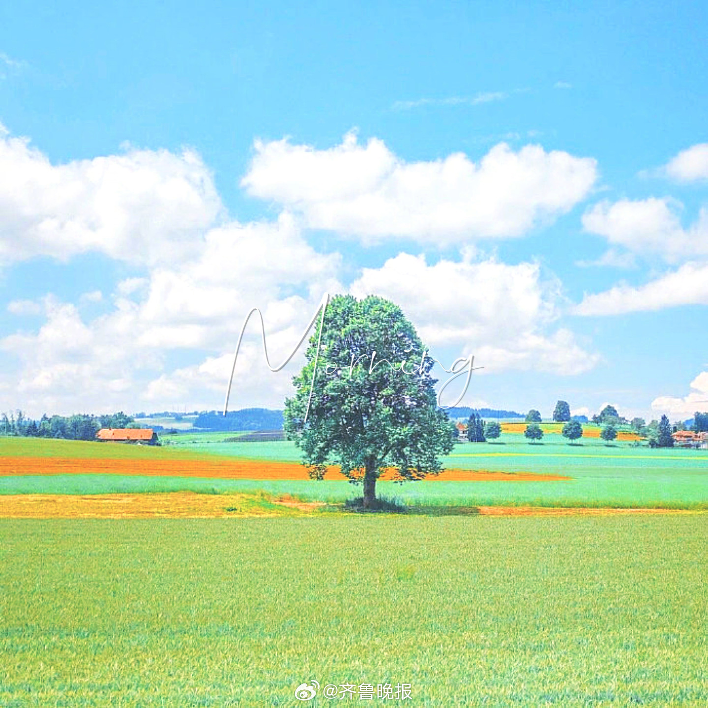 好好生活慢慢相遇#早安#