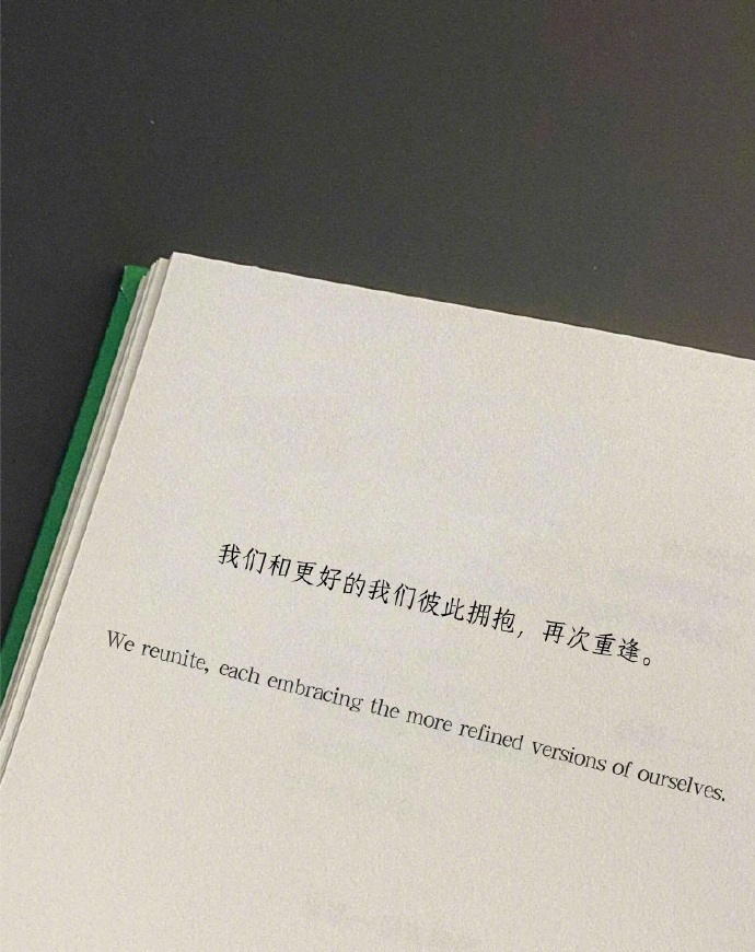 “我们和更好的我们彼此拥抱，再次重逢。” 