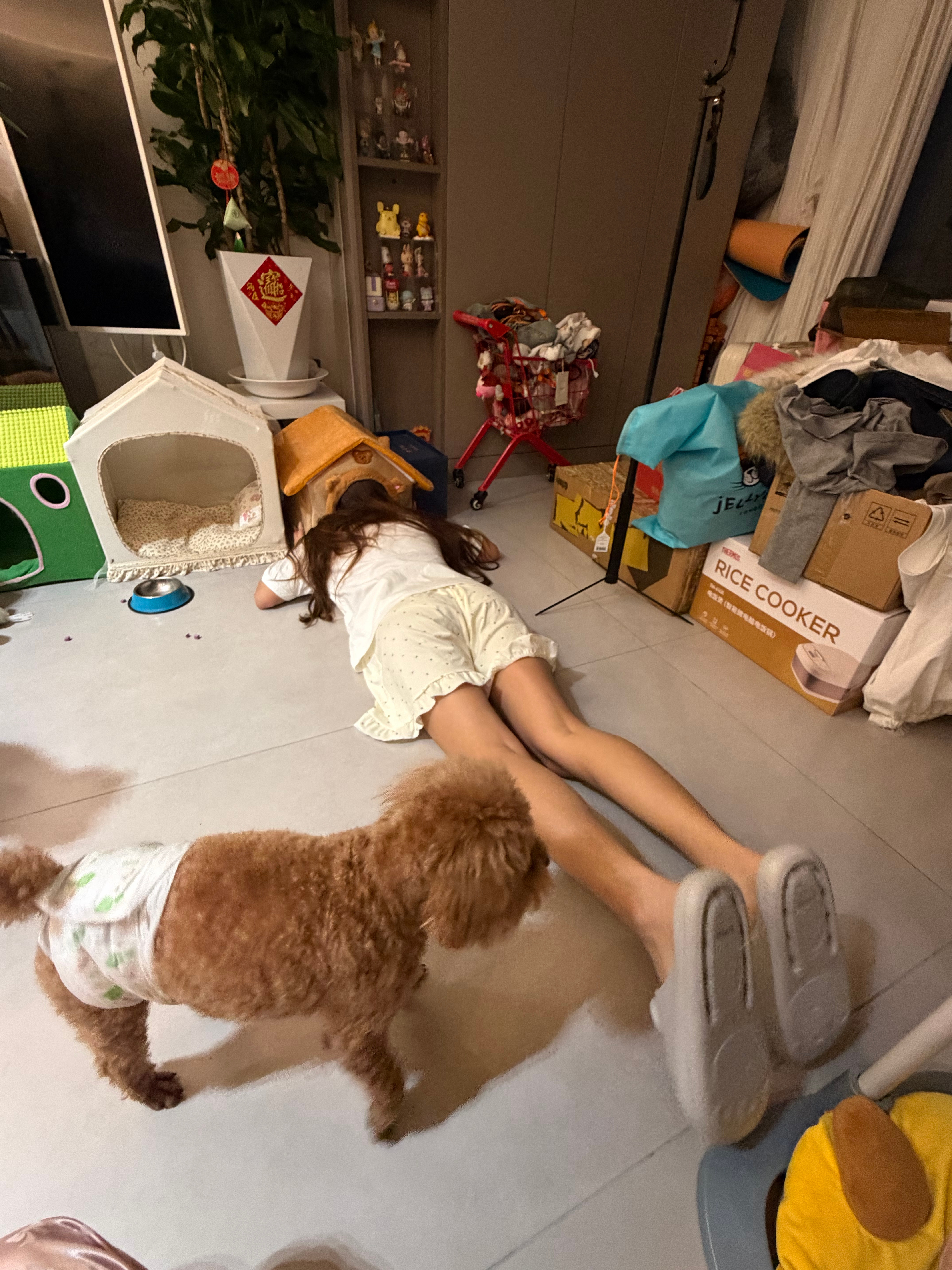 ？意义不明米琪吵吵屋