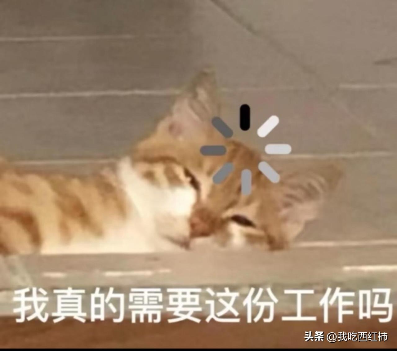 28岁，月薪1.1w，没找到下家，纠结要不要裸辞
现在这份工作到6月就满2年了 