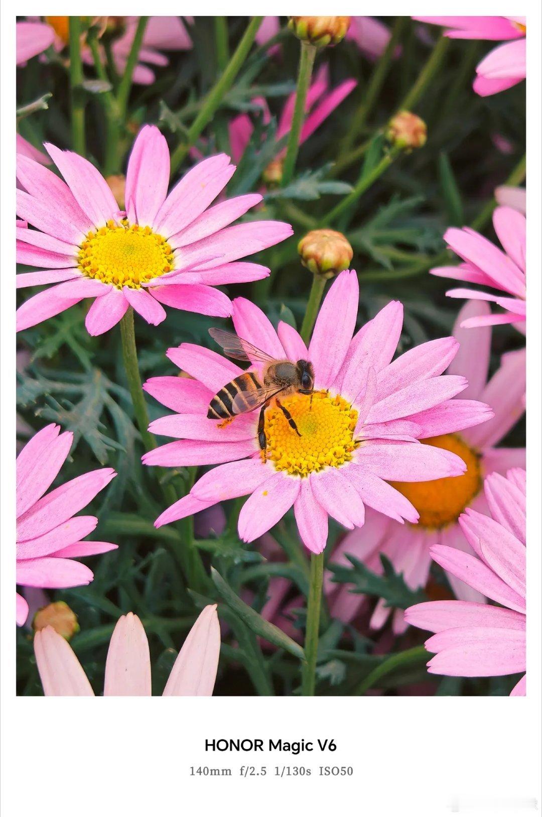 作为一款还没发布的折叠屏旗舰，大家原本的关注点都在性能、续航这些硬核指标上。但这