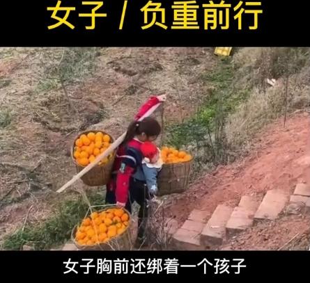 看一眼就扎心！
 
四川凉山的坡路上，那背影能让你鼻子一酸。
 
收橙子的王大哥