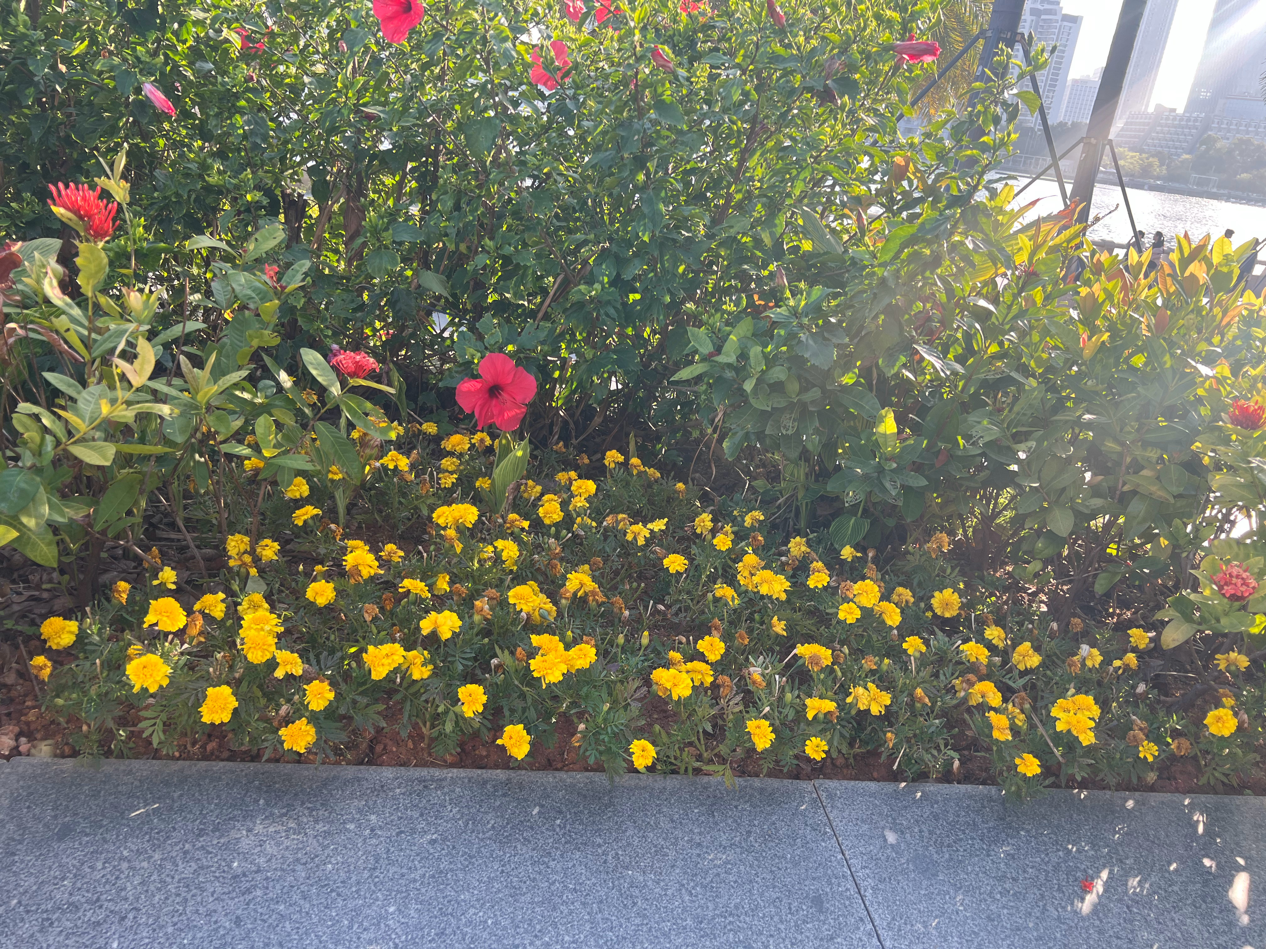 当你找到一个热爱的领域并深耕下去，你会发现，随着知识和经验的积累，你的不可替代性