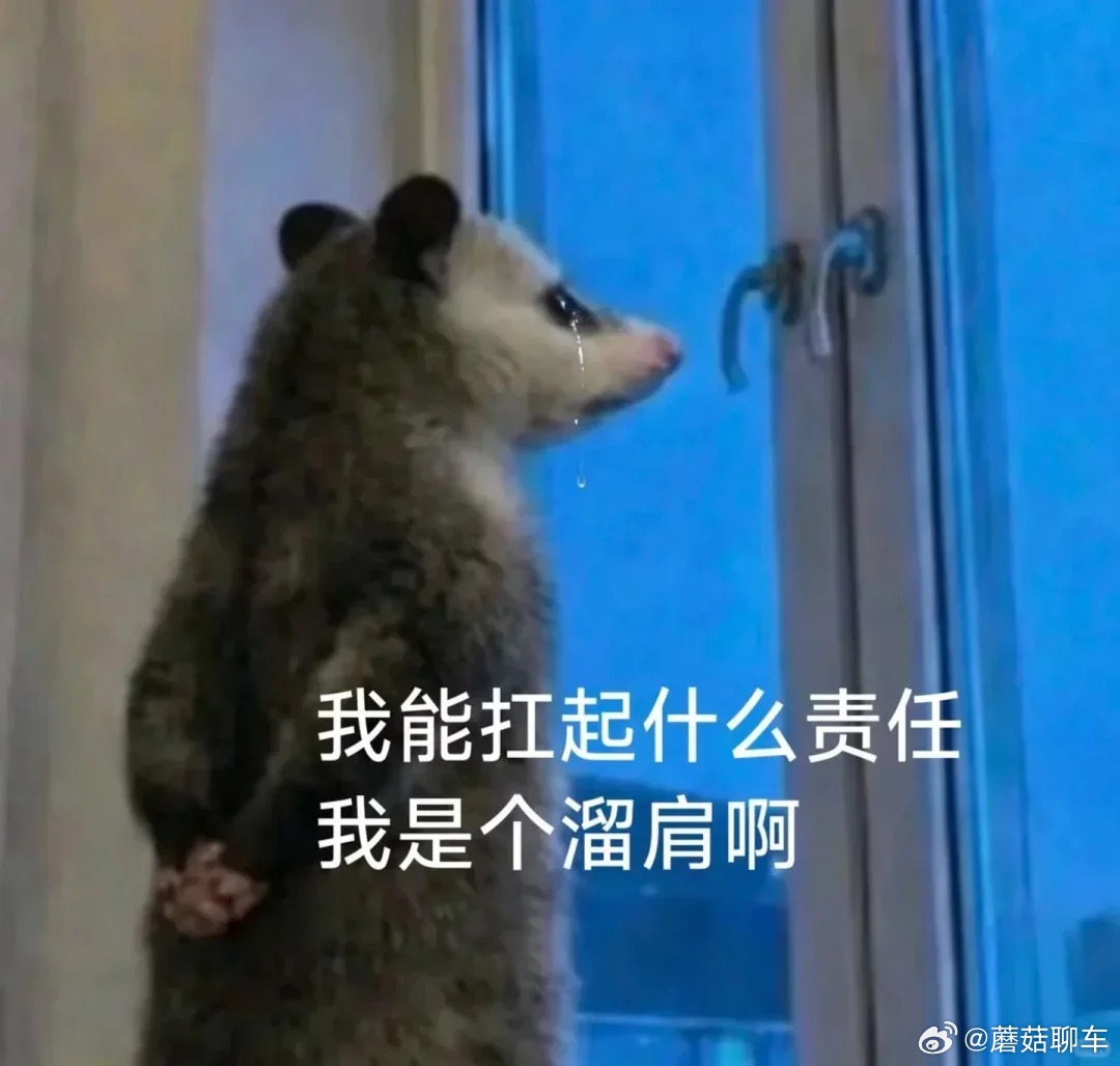 长期不换社交头像的人什么～你说的是我吗？我这个头像好多年了一直没换过～