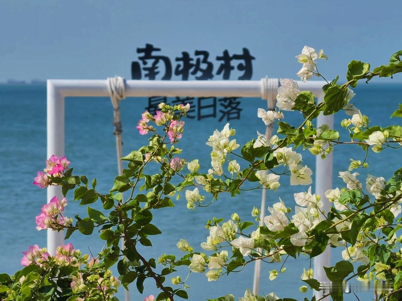 打卡祖国大陆最南端的民宿和咖啡屋。
阳光正好。花开正好。
其实就5小时的车程，却