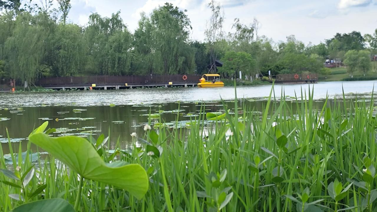 五一就快到了，想好了去哪里玩了吗？！成都世博园是你假期的好去处，在里面你可以做到