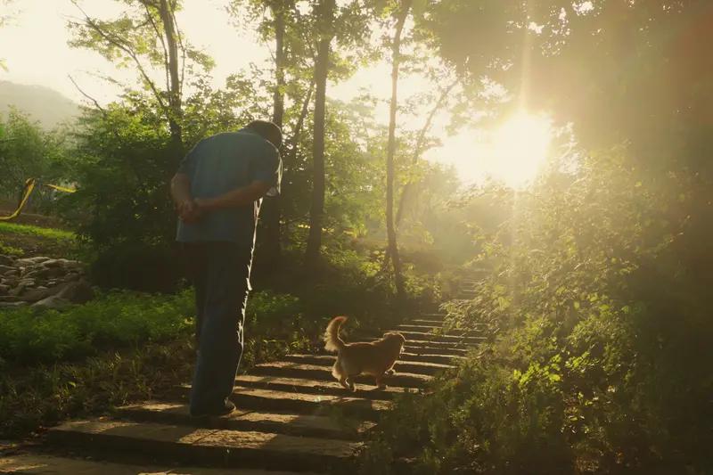 千万别等头发白了才明白，人这辈子最该攒的不是钱，是“不慌张的底气”。见过太多老人