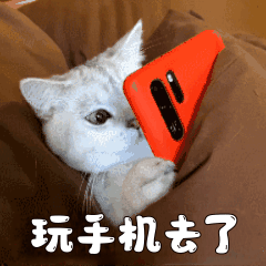 跟大家提前晚安 。今天营业结束，进被窝狠狠的玩手机去了[打call] ​​​