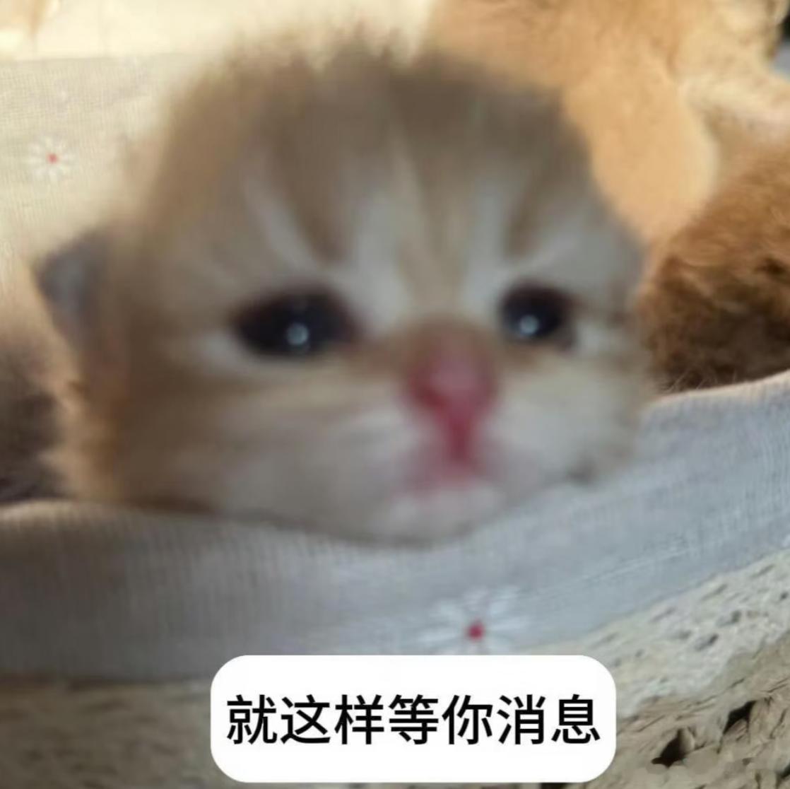 hii诡秘们。又到了bwy好几周一度的拯救铁粉的时候咯。最近有遇到什么想跟我分享