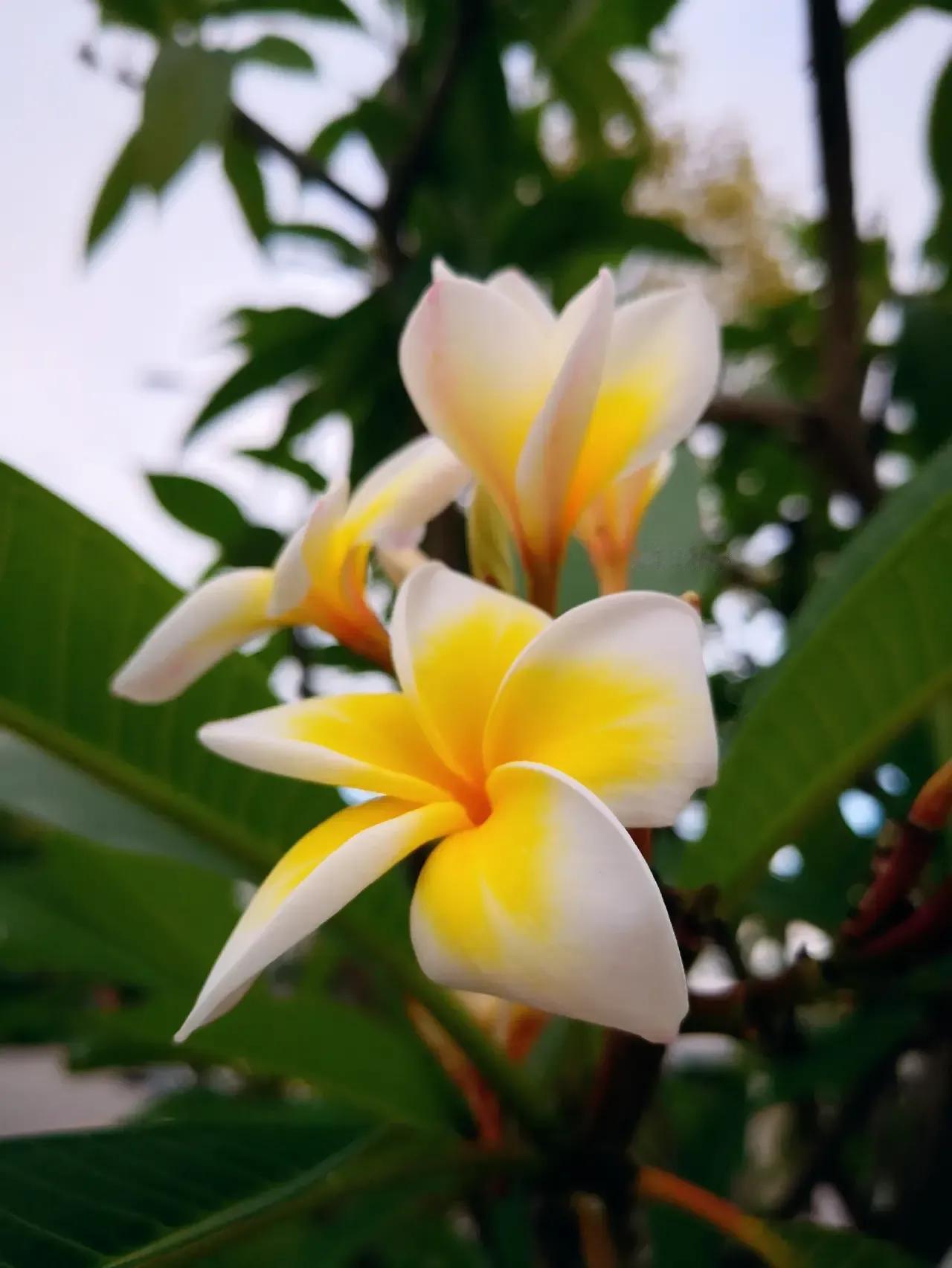 又上网对对联，对了几个月，做梦都是写对联，啥也没干好。废话少说，看看这一句上联，