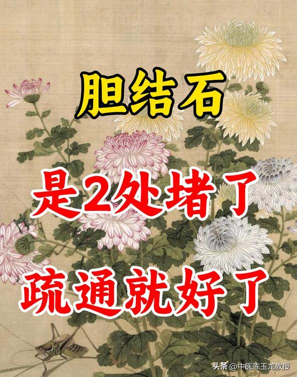 胆结石是2处堵了，疏通就好了
-
说到胆结石，其实在中医里并没有胆结石这个概念，