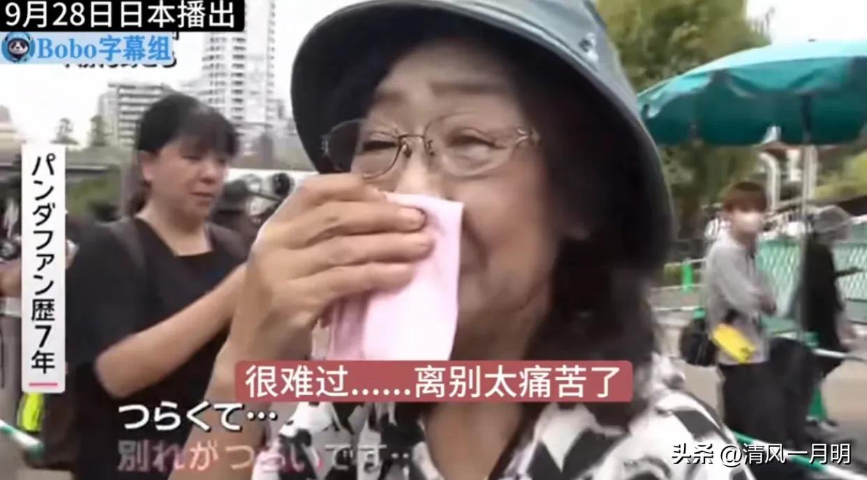近日，有好多日本民众为了给真真和力力送行哭的稀里哗啦！有老年人，年轻人和小朋友，