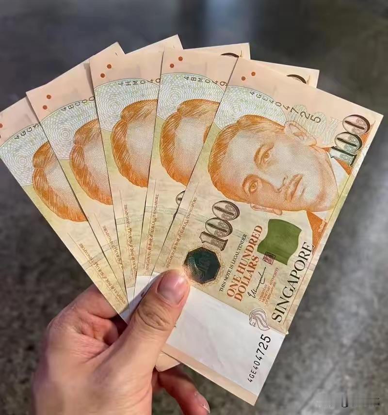 那张钱我拿回家翻来覆去看了大半夜。上头的字母不是英文，花花绿绿的，印着一个戴头巾