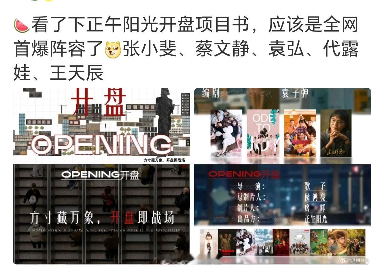 《开盘》的班底和阵容，导演歌子，编剧袁子弹 