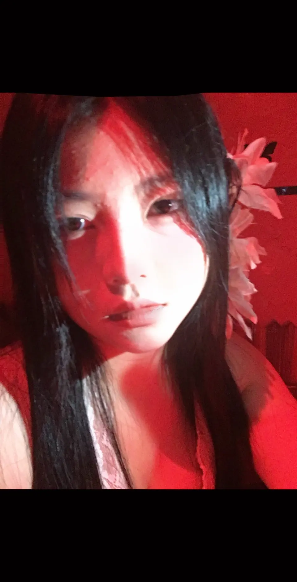 过我峥嵘  拥我九春