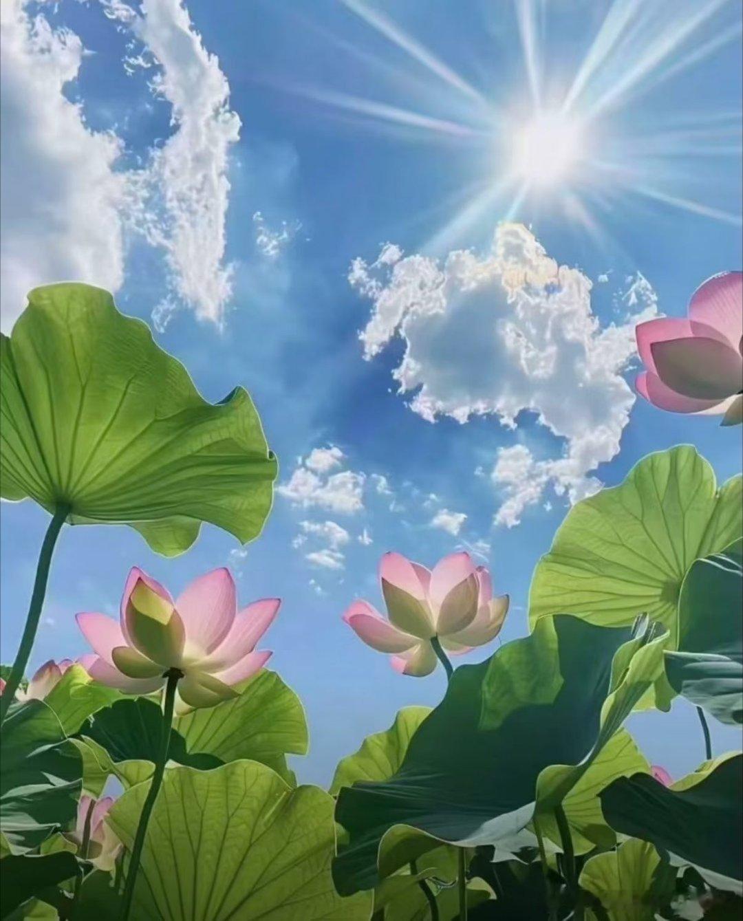 从广西去广东就是为了看李现，顺便玩玩，从广东到湖南就是为了看看好看的风景，回广西