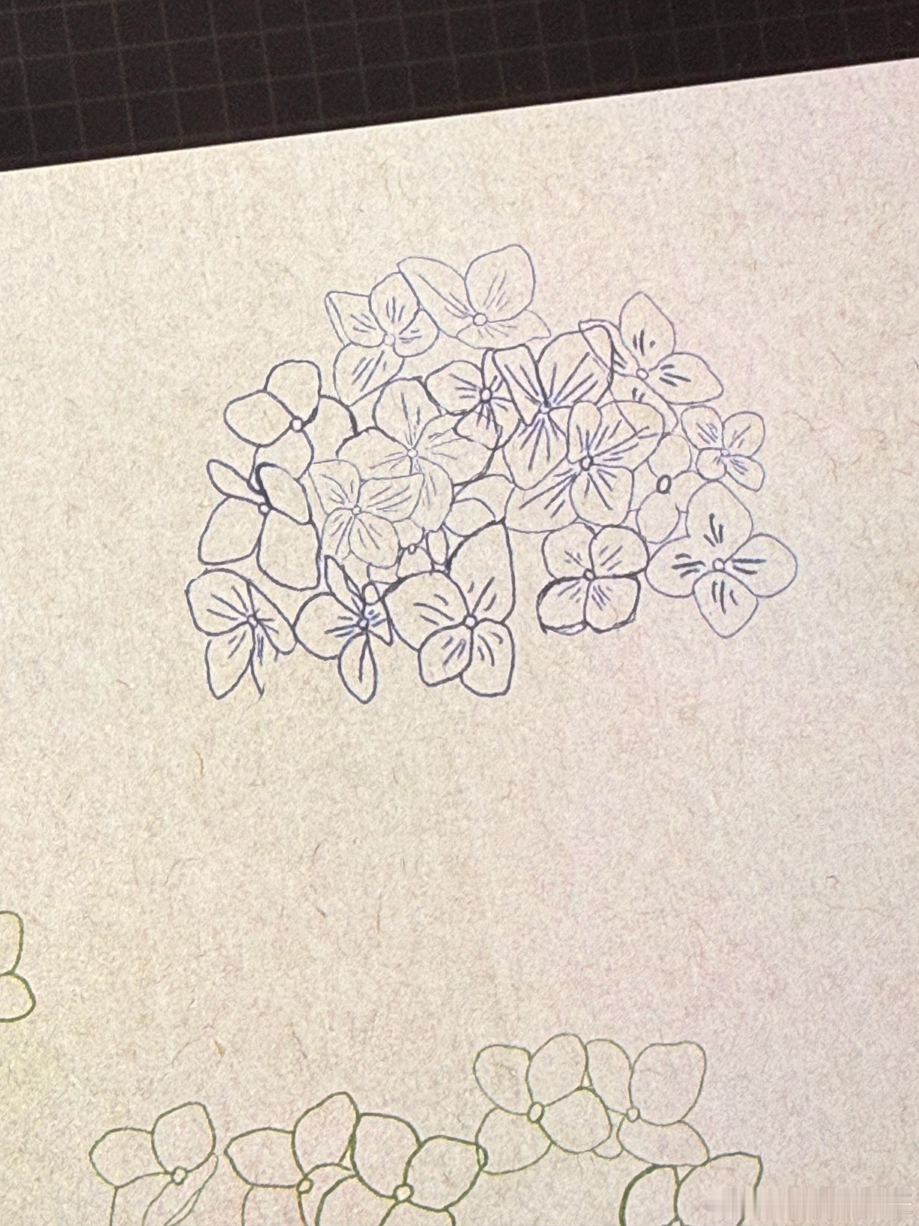 绣球花你实在美貌但也确实难画啊…