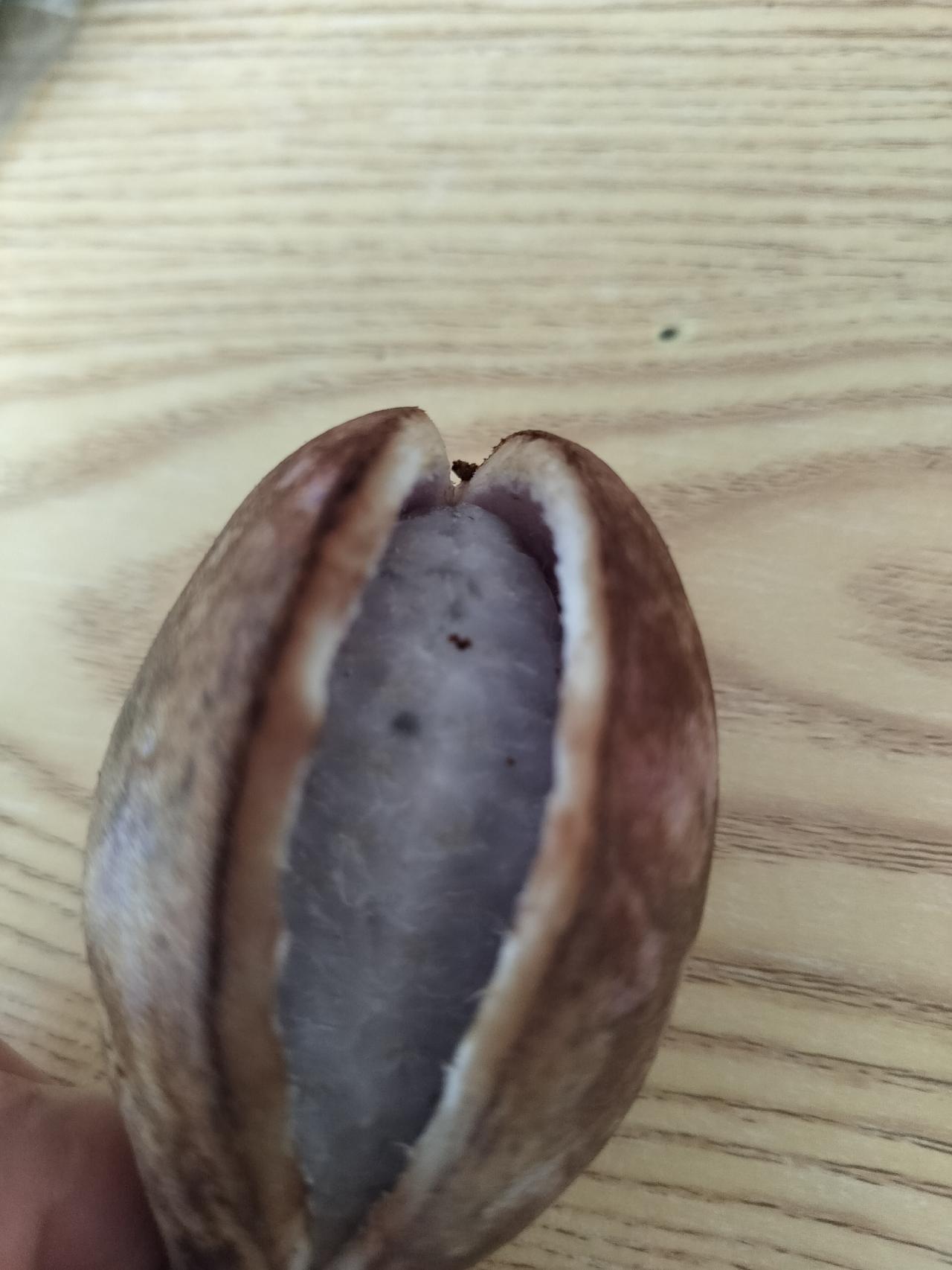 小时候得去山里买的，现在居然可以买到了