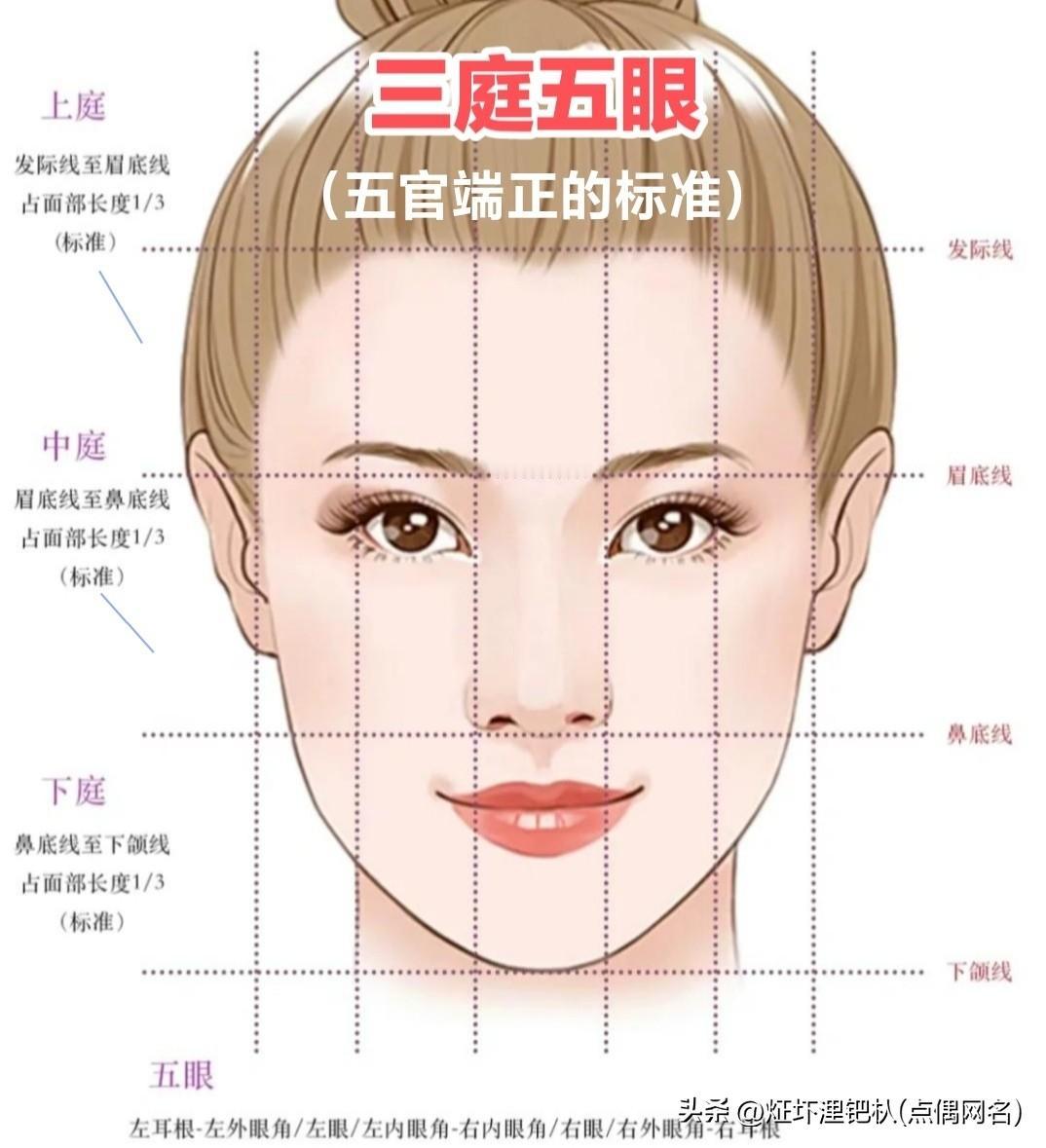 《“五官端正”的五官，到底是哪五官？》
───────
这是刚才相亲群里爆发的争