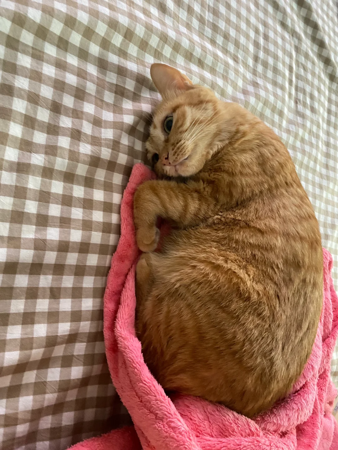 孩子看起来有很多心事