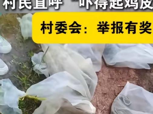 四川宜宾一个山村，村民现在出门要带棍子，走路先敲打草丛，不是因为蛇多，是因为有人
