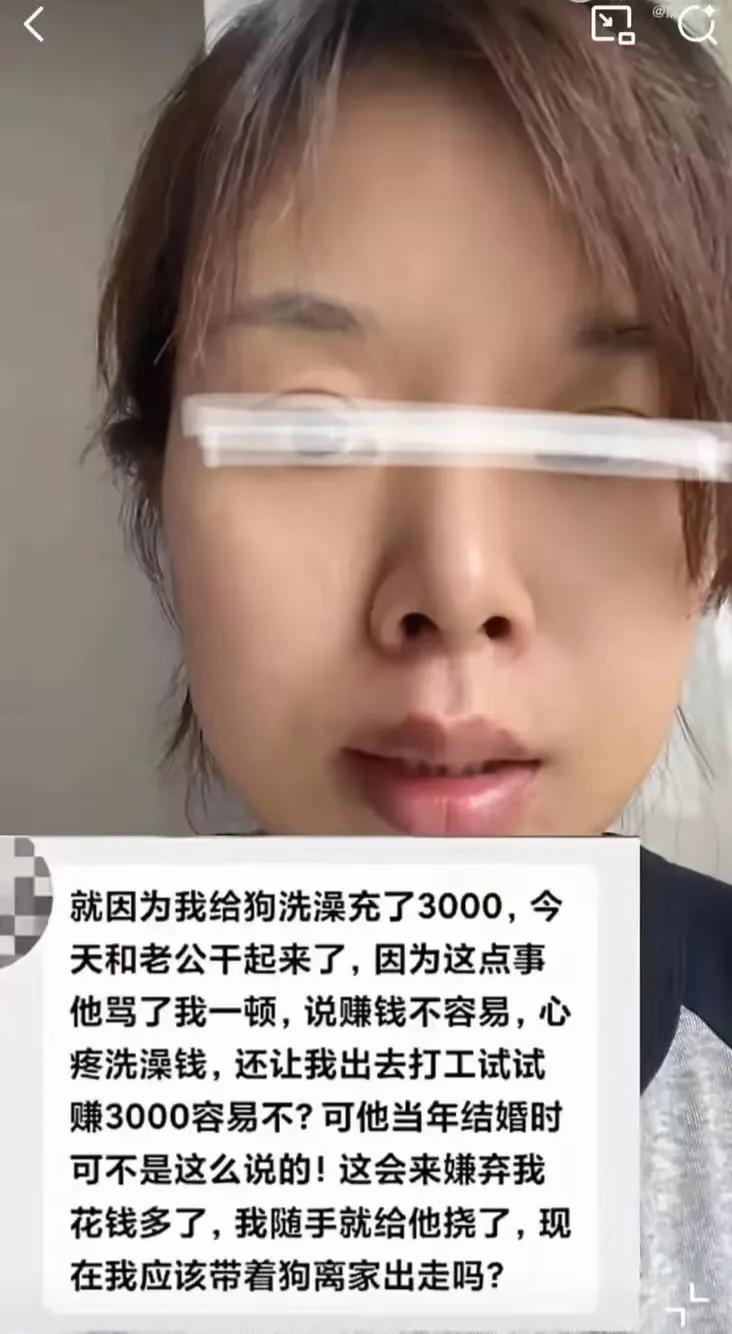 “给狗充3000洗澡卡，老公炸了”：女子委屈要带狗离家出走，网友吵翻天，到底谁有