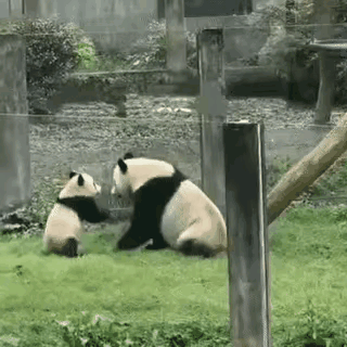 莽小五怎么会让我百看不厌呢？他的身上是不是有某种魔力？我算是被这个小子狠狠拿捏住