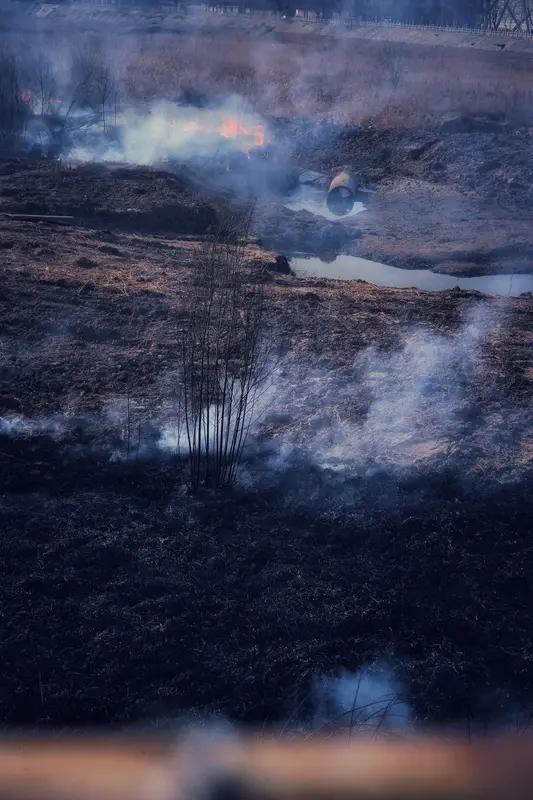 中蒙边境于2026年4月5日突发入境草原火情，我方已有效控制火势，但蒙古国境内仍