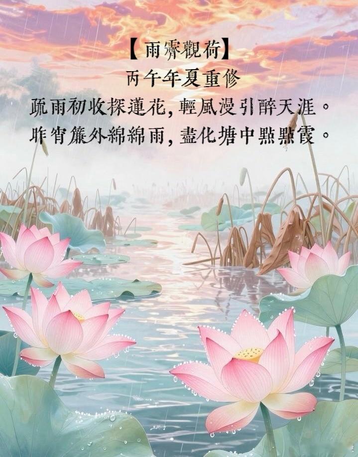 【雨霁观荷】2026年夏重修疏雨初收探莲花，轻风漫引醉天涯。昨宵帘外绵绵雨，尽化