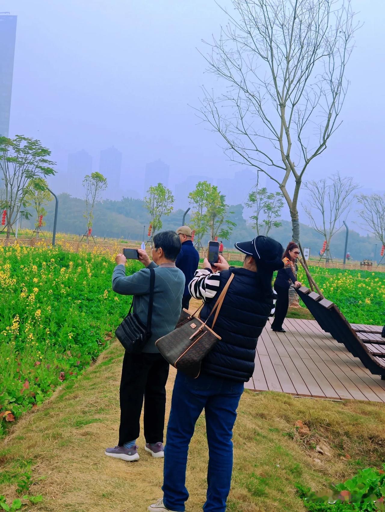 一群老人家在漳州市南江滨龙江岁月二期稻田花海拍油菜花
田间的美丽瞬间 自由自在 