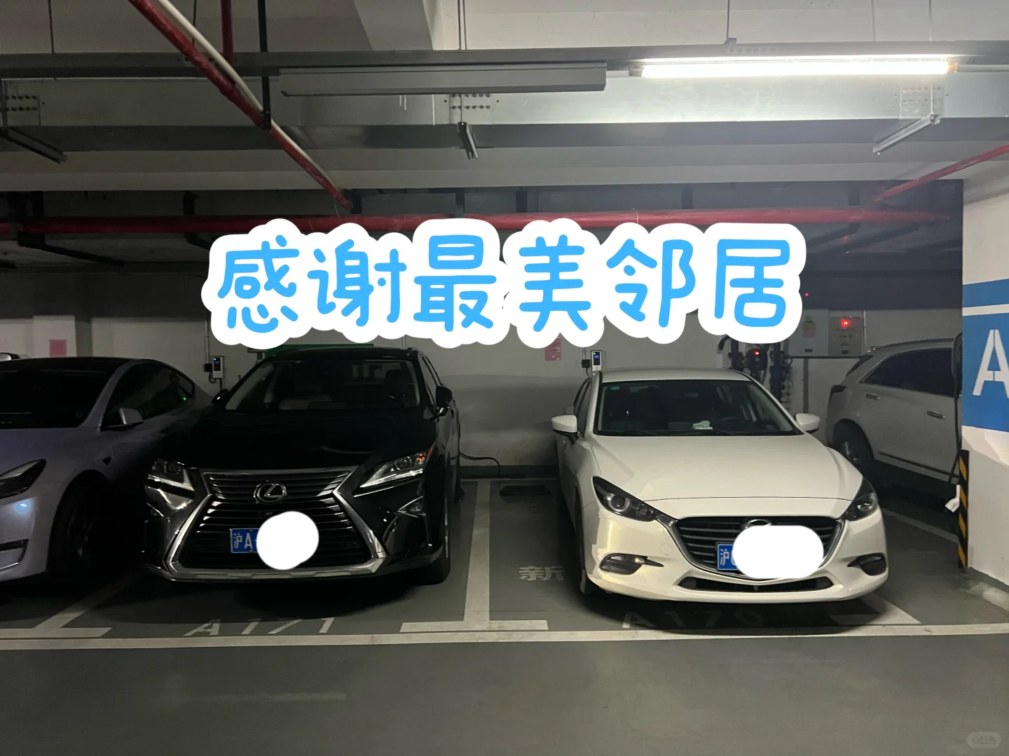 遇到这样的邻居你会怎么做？