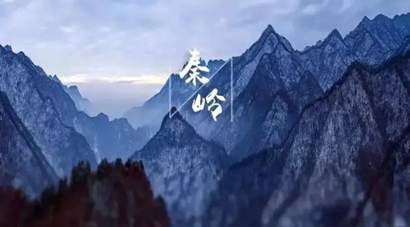 秦岭最可怕的地方，从来不是山民口耳相传的精怪传说，而是藏在万顷林海深处、连当地向