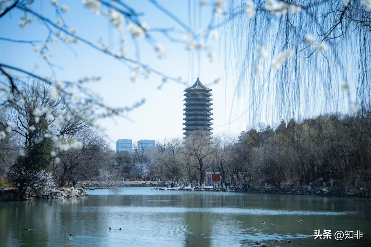 神户胜利船 VS 清水鼓动

客队不败

町田泽维 VS 东京FC

客队不败