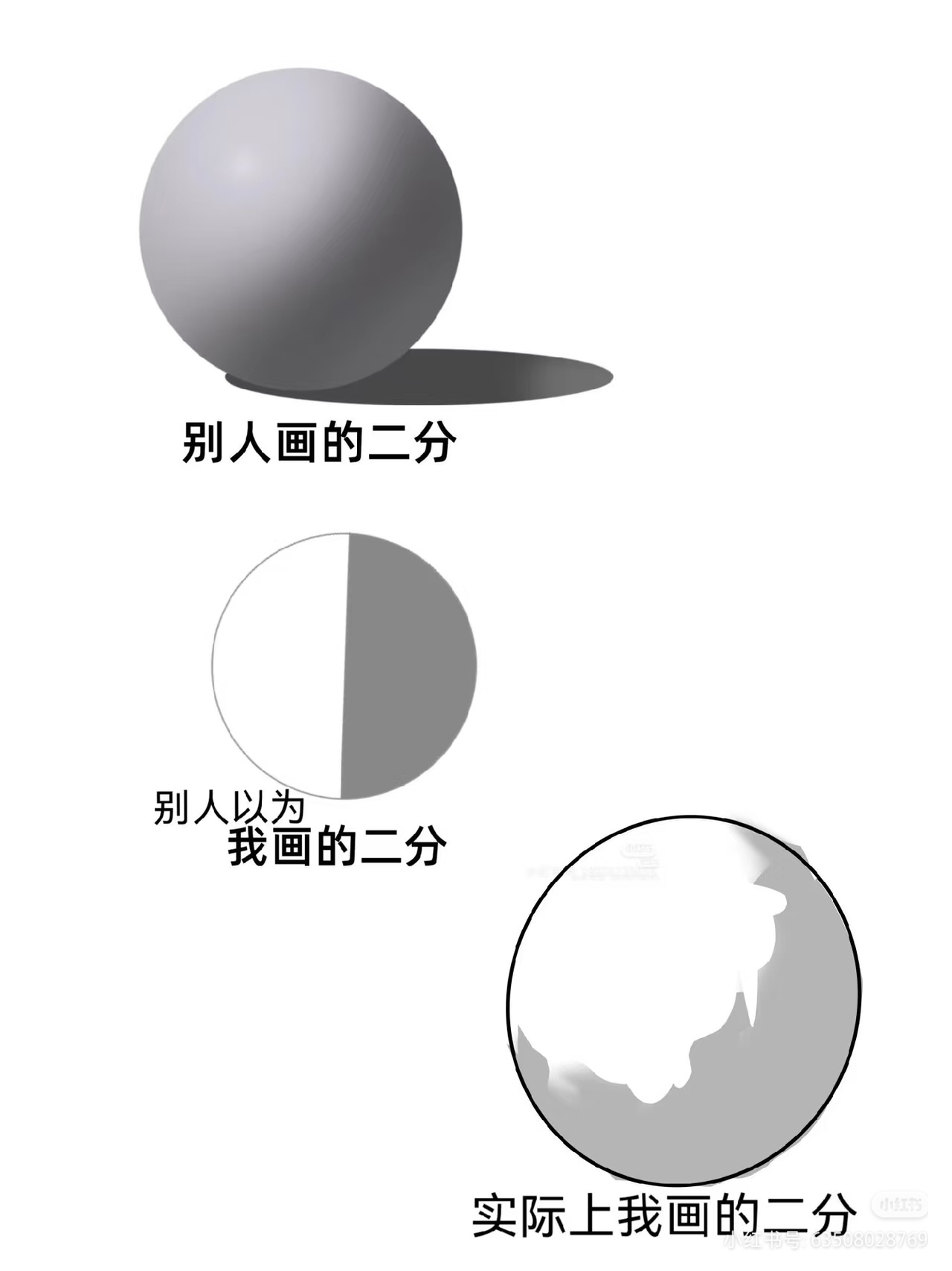 被自己画的二分逗笑了 